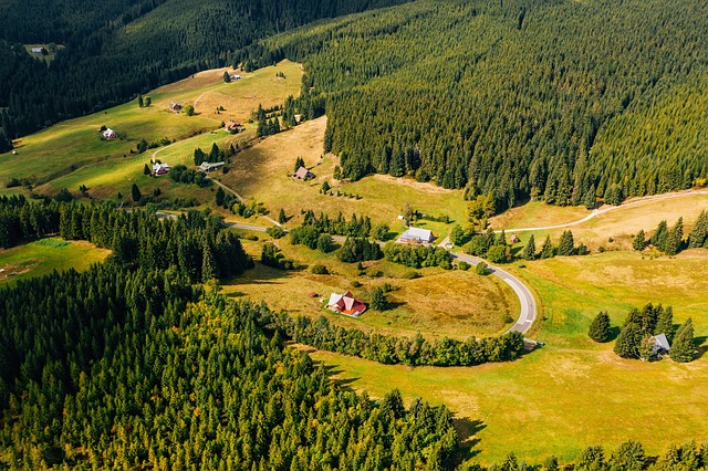 cestování na dovolenou